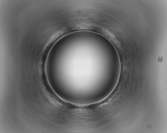 X0000091300250200708101314