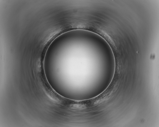 X0000091300251200708101314