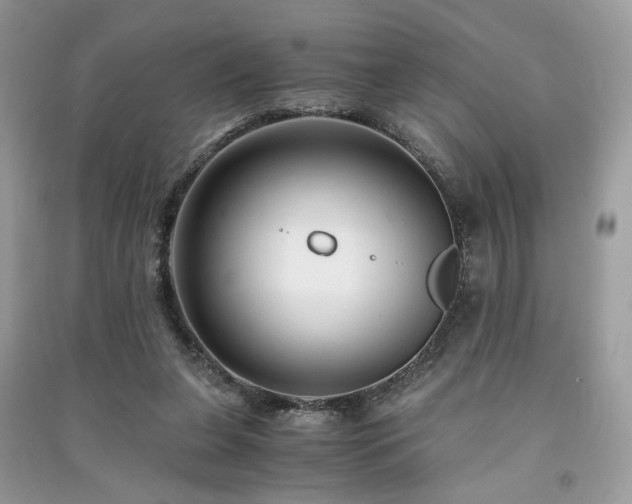 X0000091300255200708101314