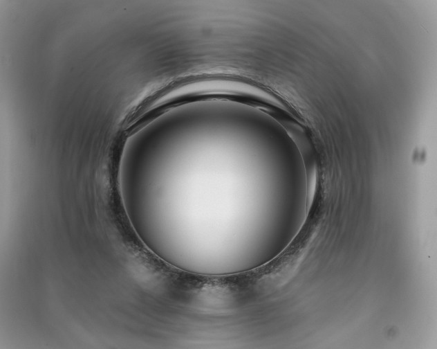 X0000091300256200708101314