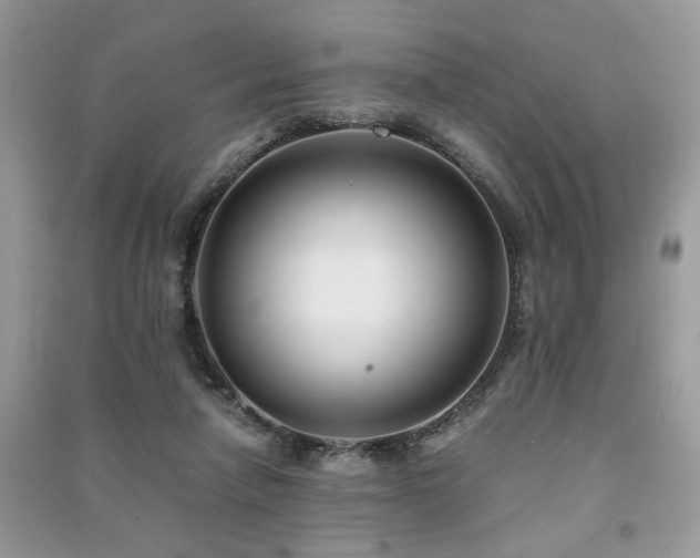 X0000091300258200708101314