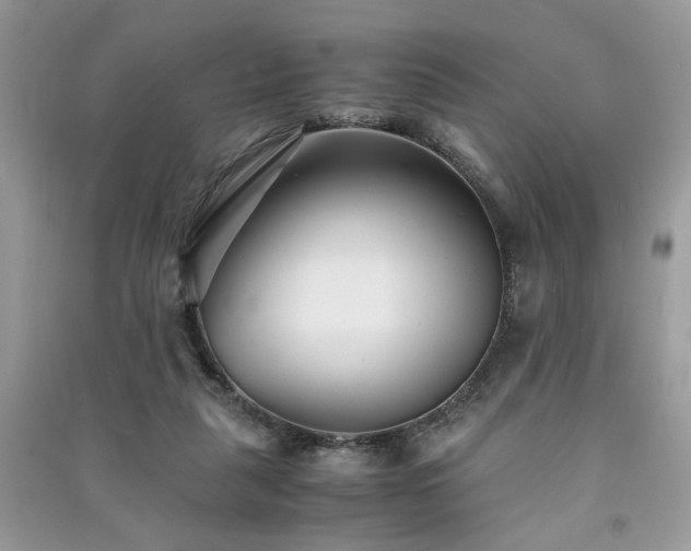 X0000091300259200708101314