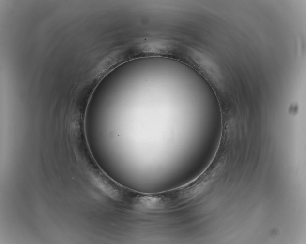 X0000091300265200708101314