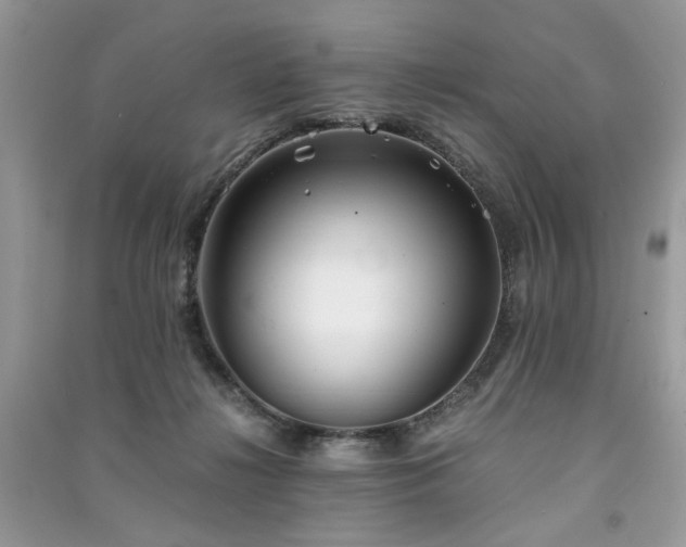 X0000091300268200708101314