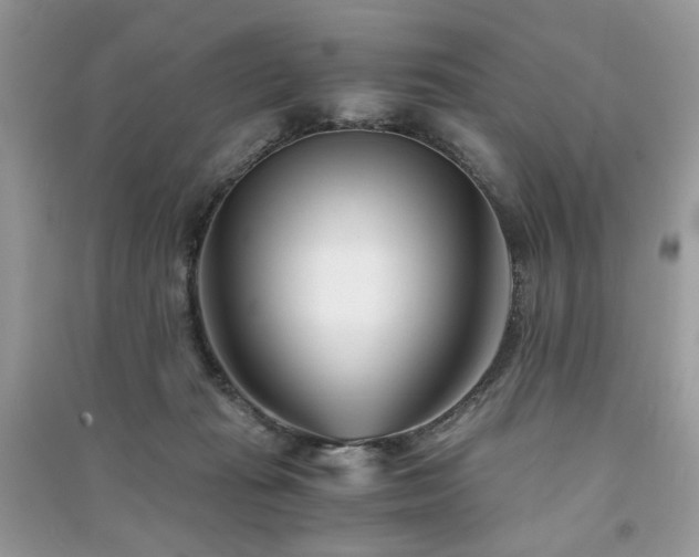 X0000091300269200708101314