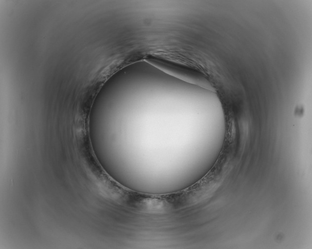 X0000091300272200708101314