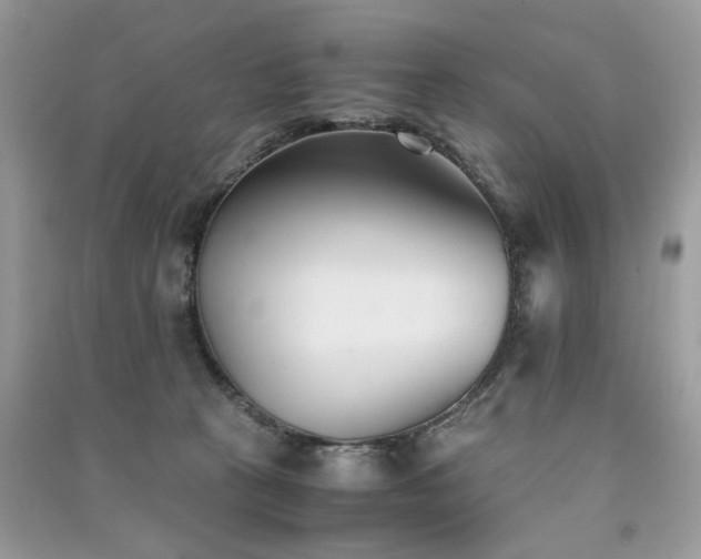 X0000091300273200708101314