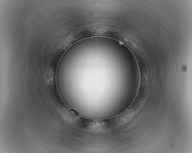 X0000091300274200708101314