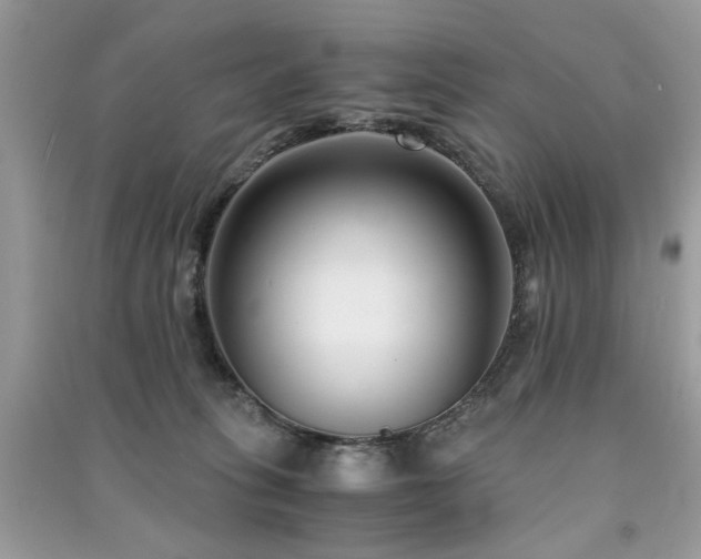 X0000091300275200708101314