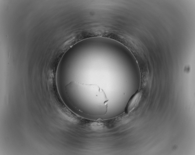 X0000091300279200708101314