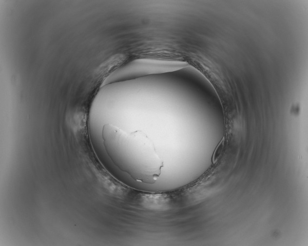 X0000091300281200708101314