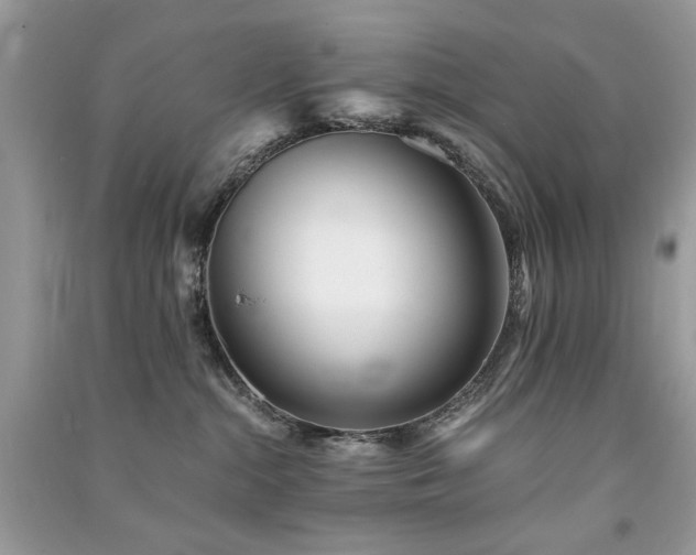 X0000091300284200708101314