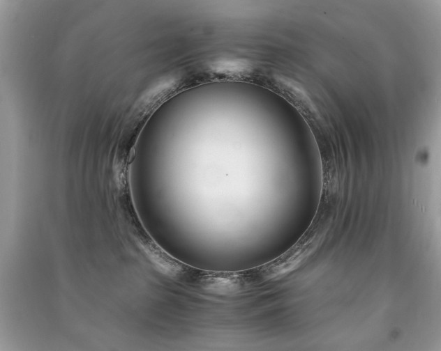 X0000091300285200708101314