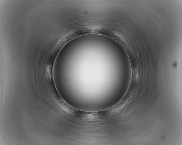 X0000091300286200708101315