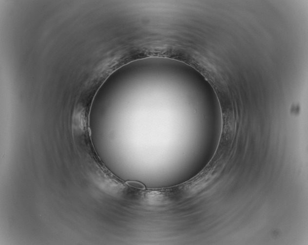 X0000091300287200708101315