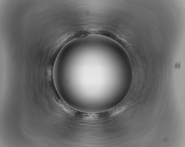 X0000091300288200708101315