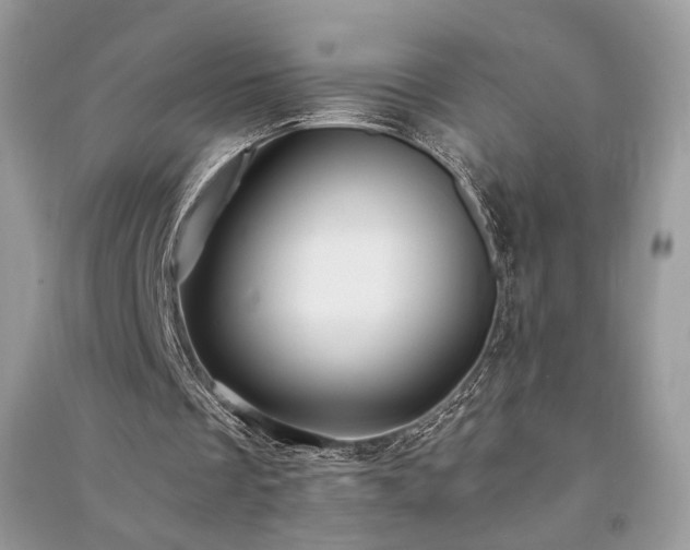 X0000091300289200708101314