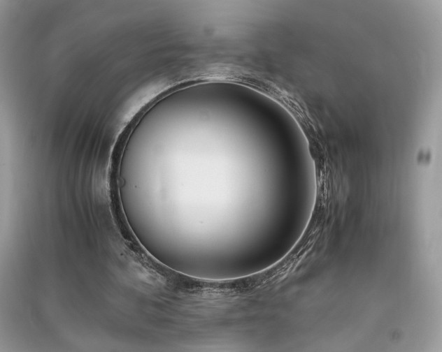 X0000091300292200708101314