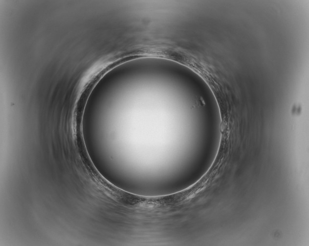 X0000091300294200708101314