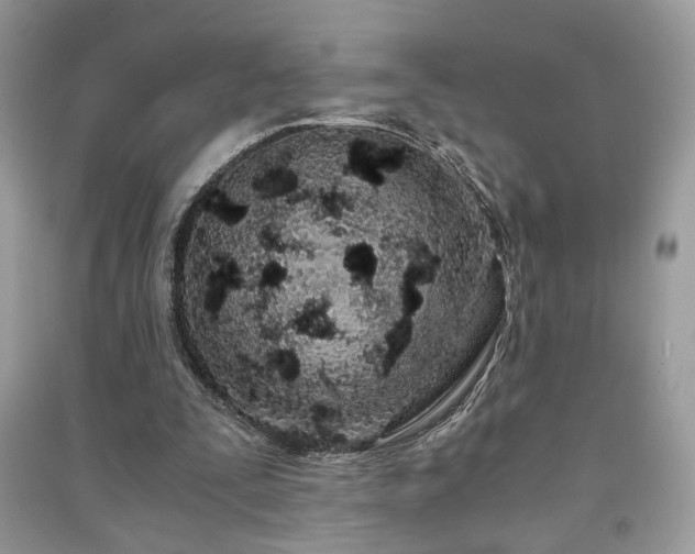 X0000091300295200708101314