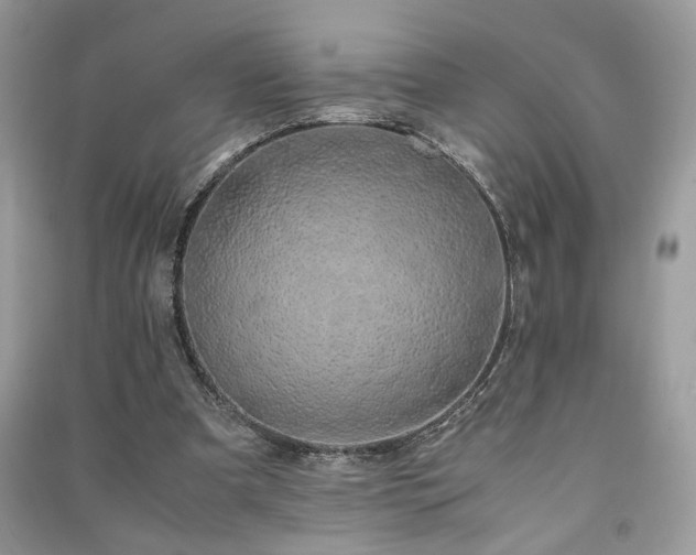 X0000091300297200708101314