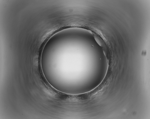 X0000091300299200708101314