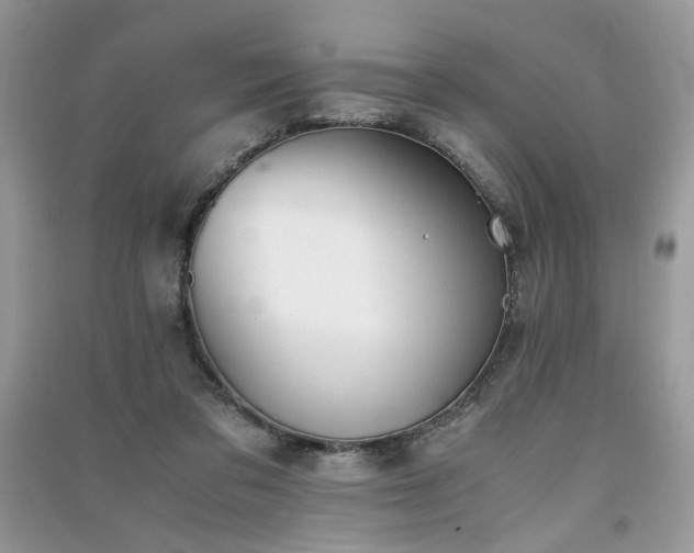 X0000091300309200708101314