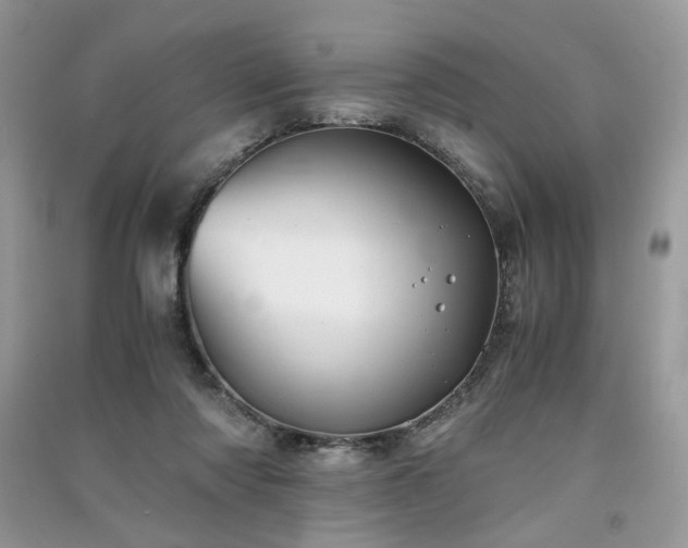 X0000091300310200708101313