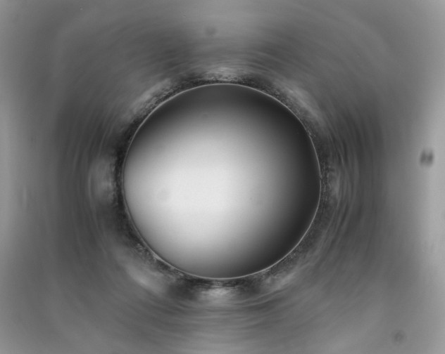 X0000091300312200708101313