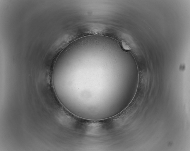 X0000091300313200708101313