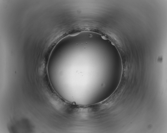 X0000091300314200708101313