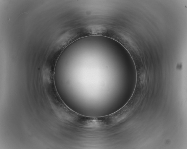 X0000091300316200708101313