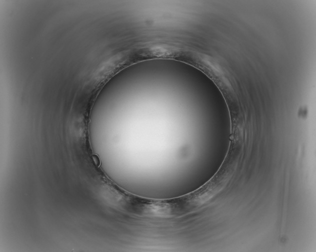 X0000091300317200708101313