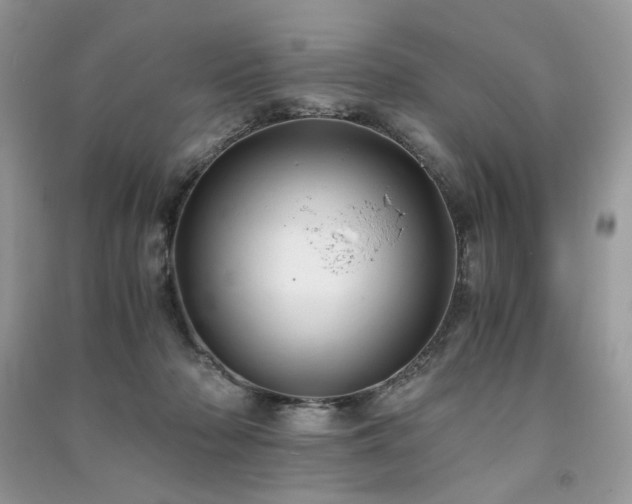 X0000091300318200708101313