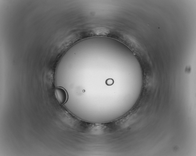 X0000091300321200708101313