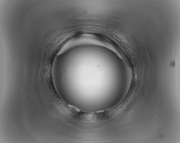 X0000091300325200708101313