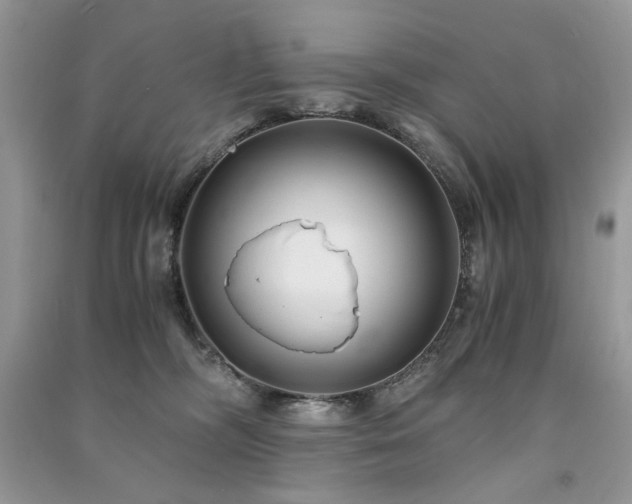 X0000091300326200708101313