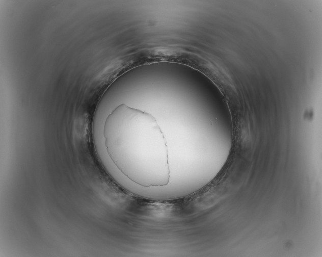 X0000091300328200708101313