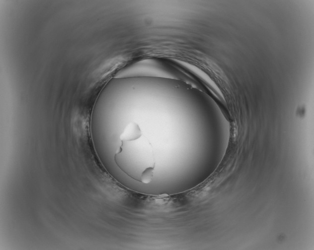 X0000091300329200708101313