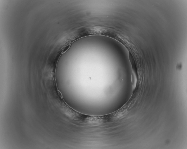 X0000091300331200708101313