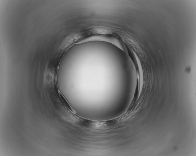 X0000091300333200708101313