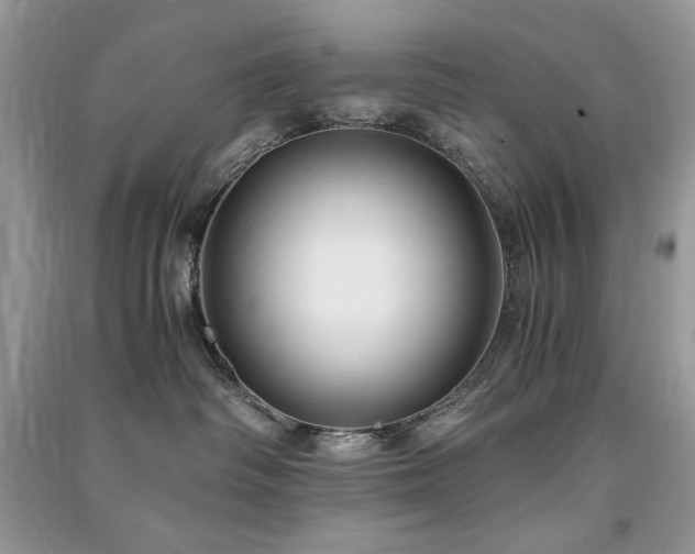 X0000091300334200708101313