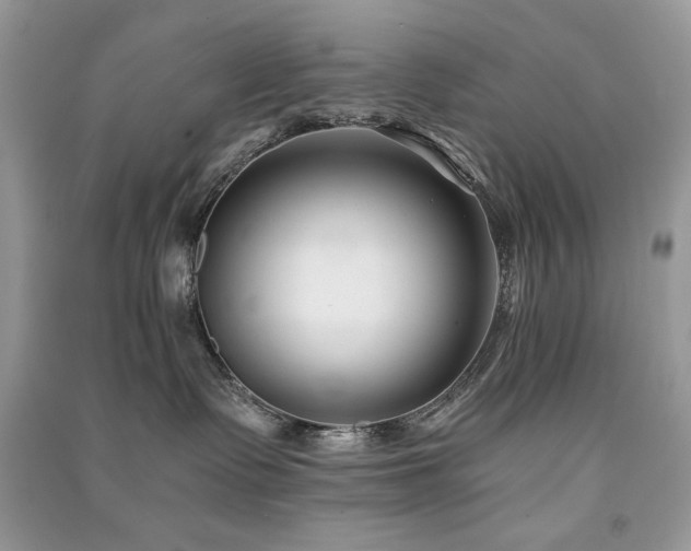 X0000091300335200708101313