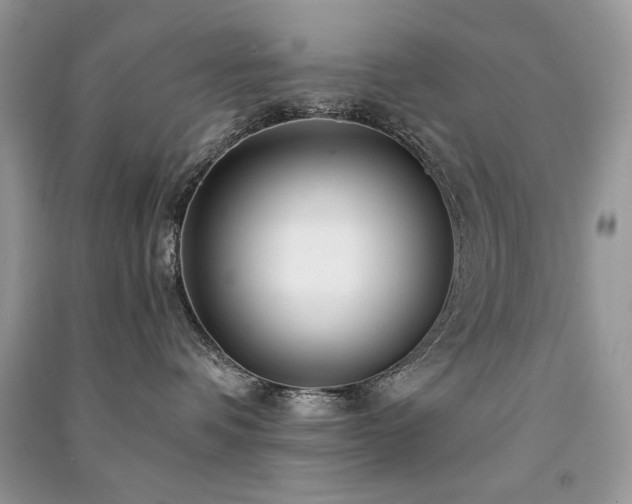 X0000091300336200708101313