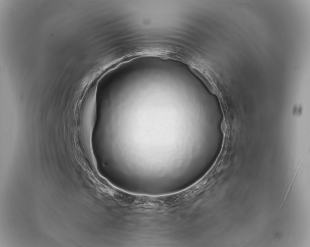 X0000091300337200708101312