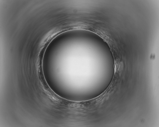 X0000091300339200708101312