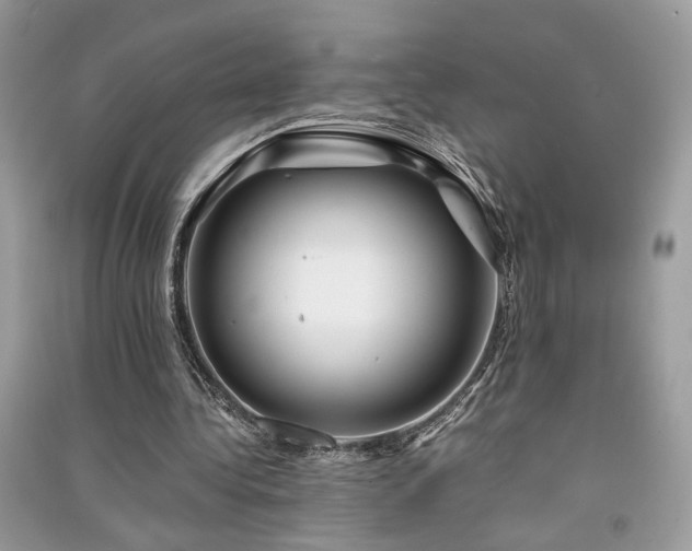 X0000091300340200708101312