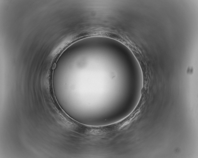 X0000091300341200708101312