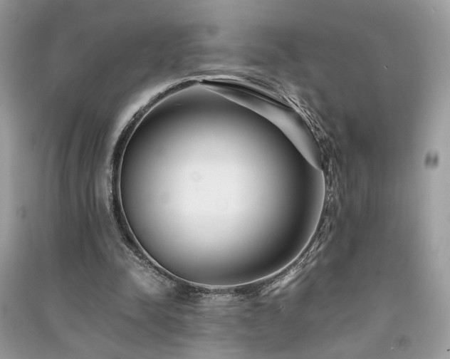 X0000091300342200708101312