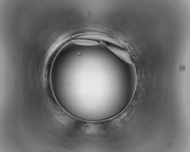 X0000091300343200708101312